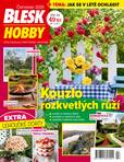 Obálka Blesk Hobby - roční předplatné