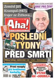 Deník Aha! - 28.7.2025 - CZECH NEWS CENTER a. s.