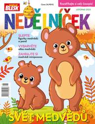Obálka vydání NEDĚLNÍČEK - 11/2025
