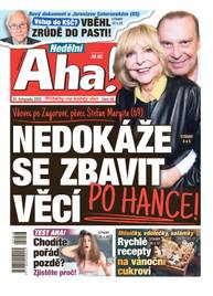 Obálka vydání Nedělní Aha! - 48/2025