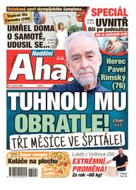 Obálka vydání Nedělní Aha! - 4/2026