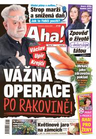 Obálka vydání Aha! - 4.4.2026