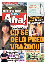 Obálka vydání Nedělní Aha! - 20/2026