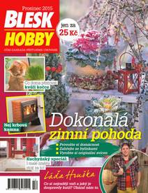 Obálka BLESK HOBBY - 12/15