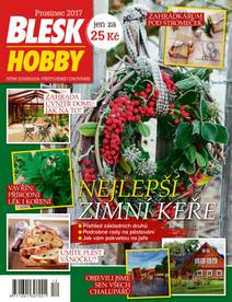 Obálka BLESK HOBBY - 12/17