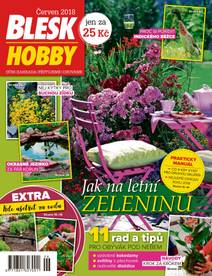 Obálka BLESK HOBBY - 06/18