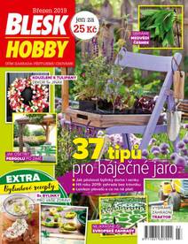 Obálka BLESK HOBBY - 3/2019