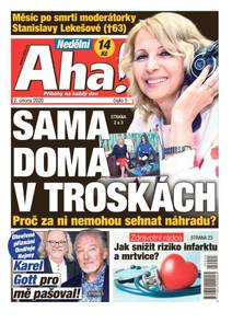 Obálka Nedělní Aha! - 5/2020