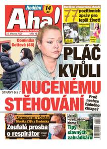 Obálka Nedělní Aha! - 12/2020