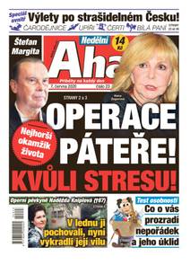 Obálka Nedělní Aha! - 23/2020