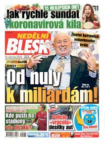 Obálka NEDĚLNÍ BLESK - 24/2020