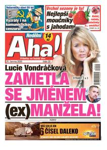 Obálka Nedělní Aha! - 25/2020