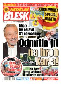 Obálka NEDĚLNÍ BLESK - 28/2020