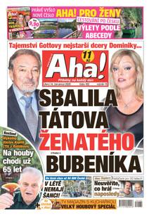 Obálka Aha! - 14.7.2020