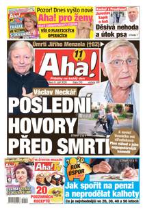 Obálka Aha! - 8.9.2020