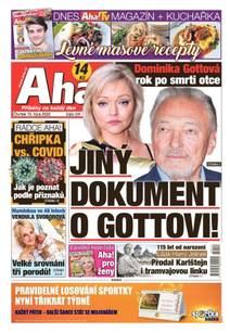 Obálka Aha! - 15.10.2020