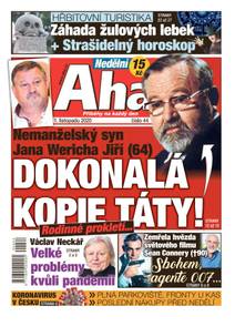 Obálka Nedělní Aha! - 44/2020