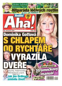 Obálka Nedělní Aha! - 48/2020