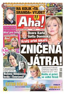 Obálka Aha! - 25.1.2021