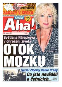 Obálka Nedělní Aha! - 9/2021