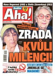 Obálka Nedělní Aha! - 13/2021