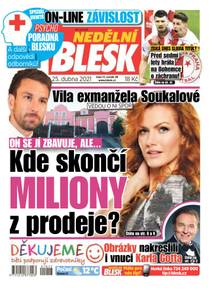 Obálka NEDĚLNÍ BLESK - 17/2021
