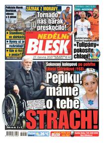 Obálka NEDĚLNÍ BLESK - 26/2021