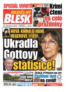 Obálka NEDĚLNÍ BLESK - 29/2021