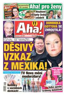 Obálka Aha! - 4.9.2021