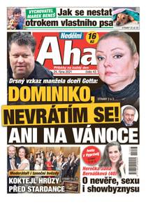 Obálka Nedělní Aha! - 43/2021