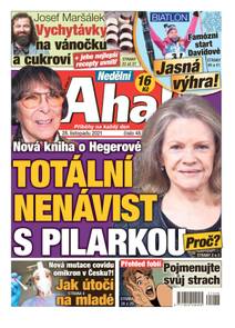 Obálka Nedělní Aha! - 48/2021