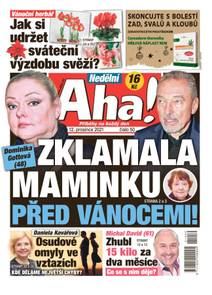 Obálka Nedělní Aha! - 50/2021