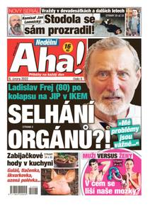 Obálka Nedělní Aha! - 6/2022