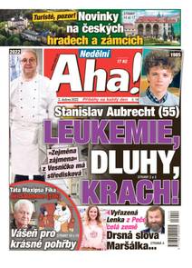 Obálka Nedělní Aha! - 14/2022