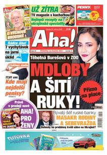 Obálka Aha! - 20.4.2022