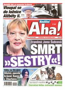 Obálka Nedělní Aha! - 23/2022