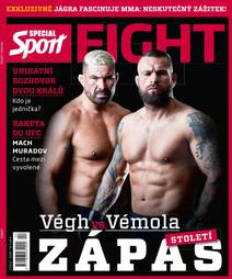 Obálka FIGHT - Attila Végh vs. Karlos Vémola
