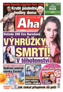 Obálka Aha! - 13.6.2022