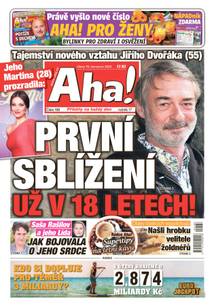 Obálka Aha! - 19.7.2022