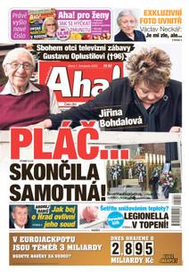 Obálka Aha! - 1.11.2022