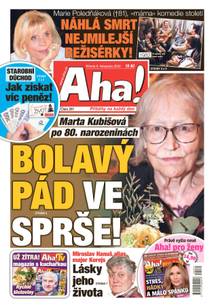 Obálka Aha! - 9.11.2022