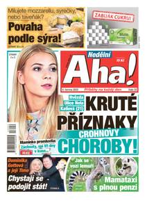 Obálka Nedělní Aha! - 22/2023