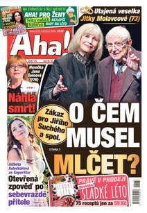 Obálka Aha! - 29.7.2023