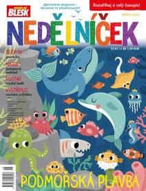 Obálka NEDĚLNÍČEK - 8/2023