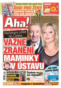 Obálka Aha! - 6.9.2023