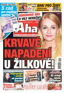 Obálka Aha! - 31.10.2023