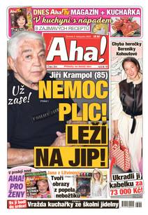 Obálka Aha! - 2.11.2023