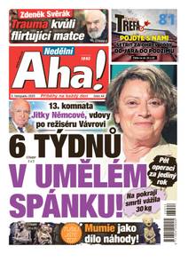 Obálka Nedělní Aha! - 44/2023