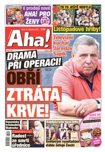 Obálka Aha! - 10.11.2023