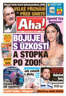 Obálka Aha! - 13.11.2023